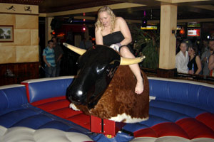 Rodeo Bull hire